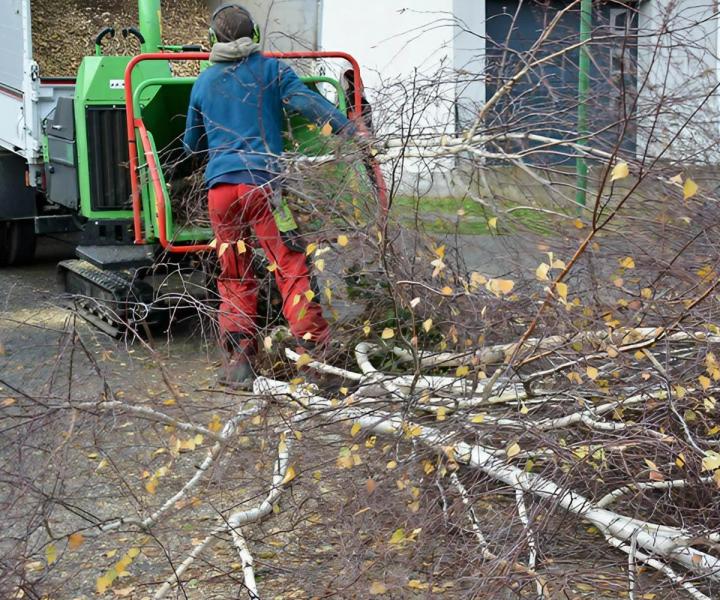Aménagement extérieur Les Landes